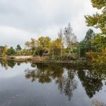 Продаж будинку 1001м², 60 соток, Київ | 4