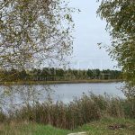 Продаж земельної ділянки, 28 соток, Козин | 2