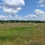 Продаж земельної ділянки, 600 соток, Проців | 5