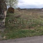 Продаж земельної ділянки, 48 соток, Романків | 4