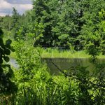 Продаж земельної ділянки, 600 соток, Проців | 3