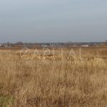 Продаж земельної ділянки, 1500 соток, Сувід | 6