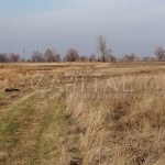 Продаж земельної ділянки, 300 соток, Сувід | 1
