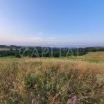 Продаж земельної ділянки, 175 соток, Підгірці | 5
