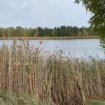 Продаж земельної ділянки, 28 соток, Козин | 4