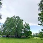 Продаж земельної ділянки, 200 соток, Гнідин | 7