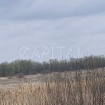Продаж земельної ділянки, 160 соток, Київ | 3
