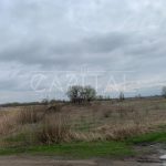 Продаж земельної ділянки, 160 соток, Київ | 2