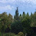 Продаж будинку 590м², 12 соток, Крюківщина | 11