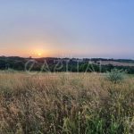 Продаж земельної ділянки, 175 соток, Підгірці | 1