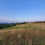 Продаж земельної ділянки, 175 соток, Підгірці | 9