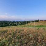 Продаж земельної ділянки, 175 соток, Підгірці | 8