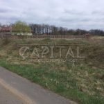 Продаж земельної ділянки, 48 соток, Романків | 1