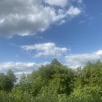 Продаж земельної ділянки, 45 соток, Трипілля | 4