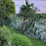 Продаж будинку 400м², 56 соток, Плюти | 9