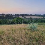 Продаж земельної ділянки, 175 соток, Підгірці | 2