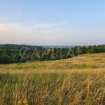 Продаж земельної ділянки, 175 соток, Підгірці | 6