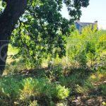 Продаж земельної ділянки, 17 соток, Плюти | 5