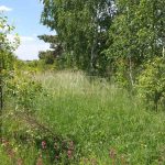 Продаж земельної ділянки, 850 соток, Малі Дмитровичі | 7