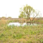 Продаж земельної ділянки, 60 соток, Романків | 8