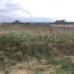 Продаж земельної ділянки, 48 соток, Романків | 7