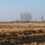 Продаж земельної ділянки, 1500 соток, Сувід | 4