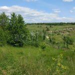 Продаж земельної ділянки, 850 соток, Малі Дмитровичі | 6