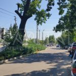 Продаж земельної ділянки, 17 соток, Плюти | 1