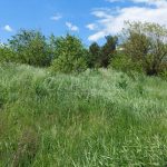 Продаж земельної ділянки, 850 соток, Малі Дмитровичі | 3