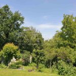 Продаж земельної ділянки, 26 соток, Київ | 2