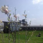 Продаж будинку 1600м², 100 соток, Нові Петрівці | 19