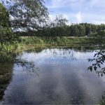 Продаж земельної ділянки, 8.5 соток, Козин | 1