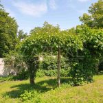 Продаж земельної ділянки, 26 соток, Київ | 5