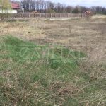 Продаж земельної ділянки, 48 соток, Романків | 5