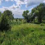 Продаж земельної ділянки, 600 соток, Проців | 9