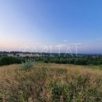 Продаж земельної ділянки, 175 соток, Підгірці | 4