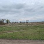 Продаж земельної ділянки, 160 соток, Київ | 6
