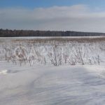 Продаж земельної ділянки, 50 соток, Гатне | 2