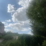 Продаж земельної ділянки, 45 соток, Трипілля | 7