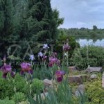 Продаж будинку 400м², 56 соток, Плюти | 7