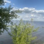 Продаж земельної ділянки, 45 соток, Трипілля | 9