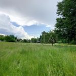 Продаж земельної ділянки, 200 соток, Гнідин | 9