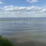 Продаж земельної ділянки, 45 соток, Трипілля | 1