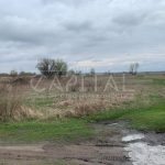 Продаж земельної ділянки, 160 соток, Київ | 7