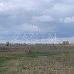 Продаж земельної ділянки, 160 соток, Київ | 11