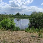 Продаж земельної ділянки, 600 соток, Проців | 4