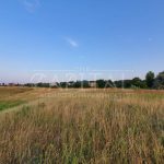 Продаж земельної ділянки, 175 соток, Підгірці | 10