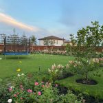 Продаж будинку 240м², 11 соток, Нові Петрівці | 19