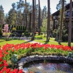 Продажа помещений Вышгородский район | 5