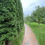 Продаж будинку 476м², 17 соток, Козин | 5